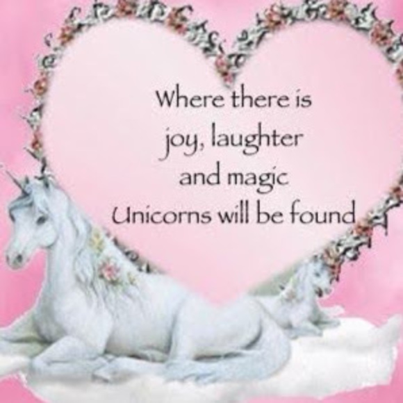 Meet your Posher, Skye - Picture 1 of 1